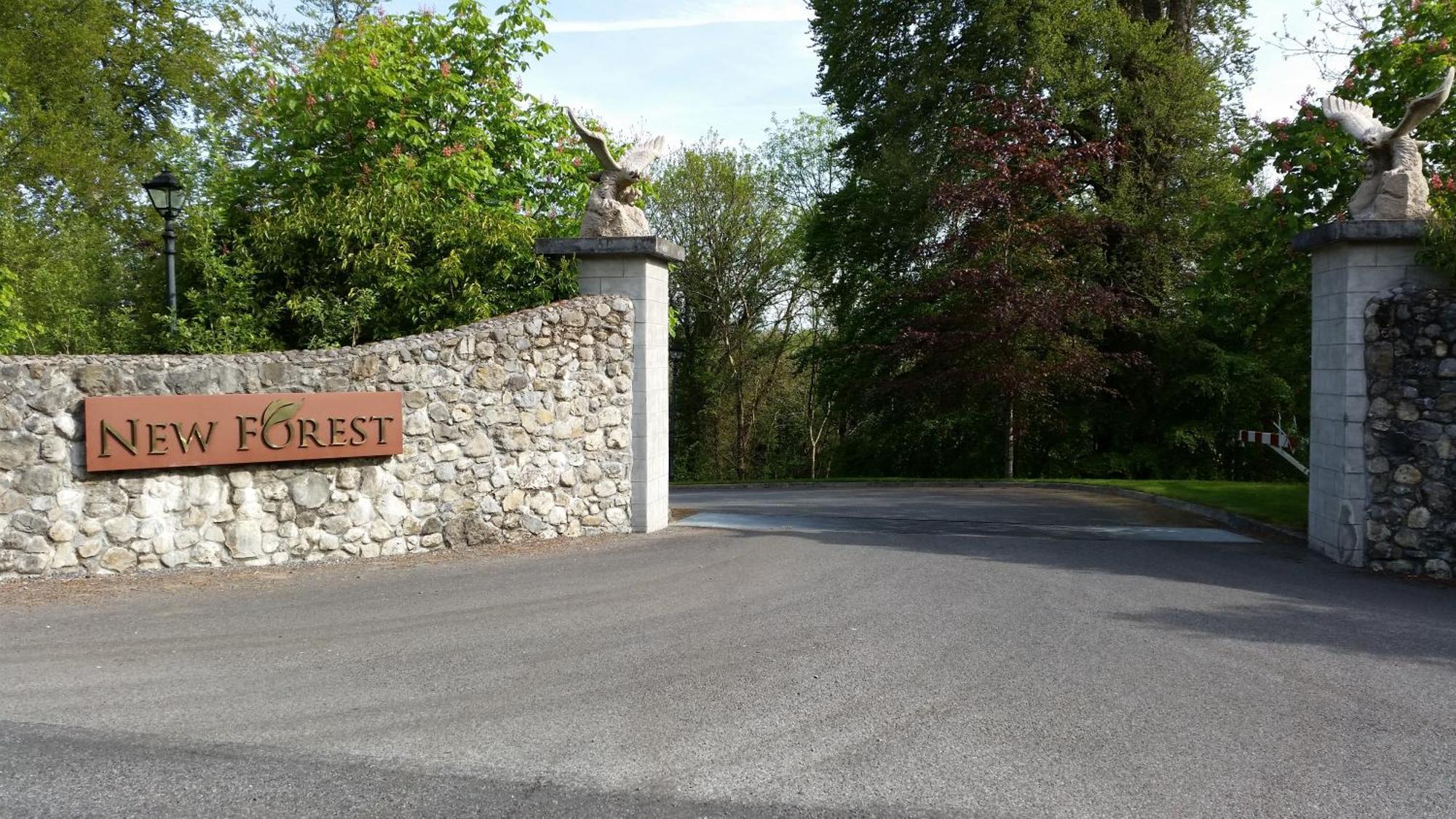 New Forest Estate Lodges Tyrrellspass エクステリア 写真