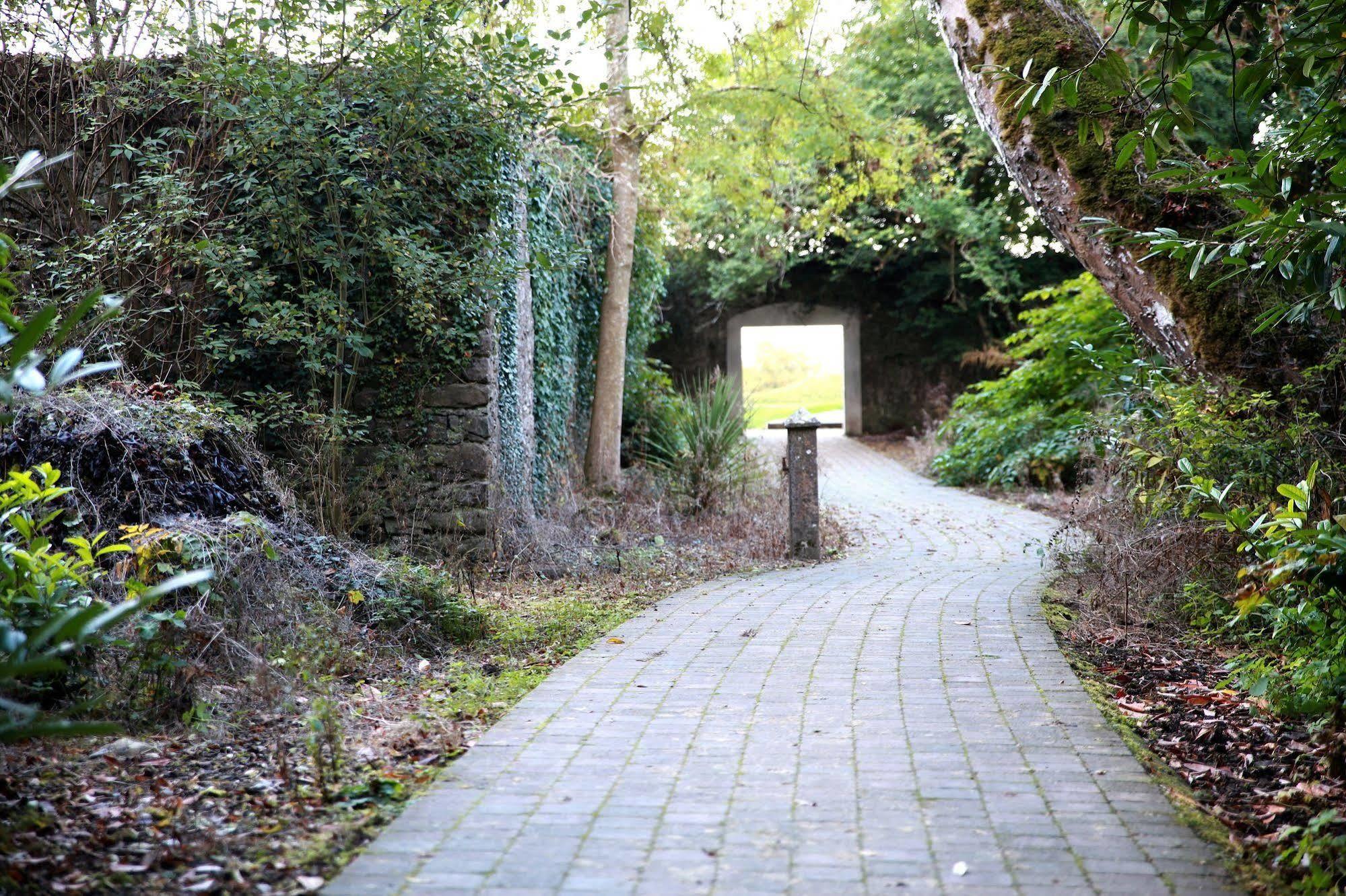 New Forest Estate Lodges Tyrrellspass エクステリア 写真