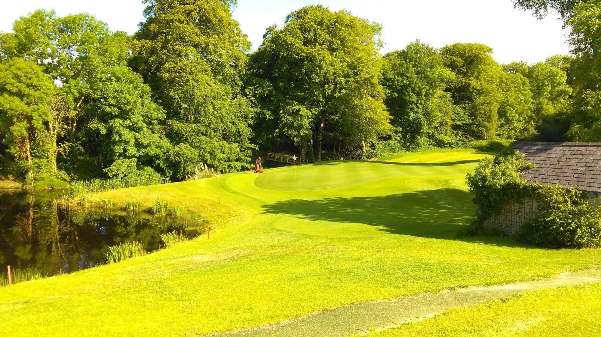 New Forest Estate Lodges Tyrrellspass エクステリア 写真